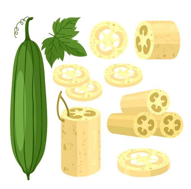 Luffa Schwämme - 3er Set